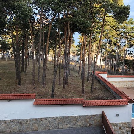 Апартамент "Forest View" В Комплекс "Вели Хилс" فيلينغراد المظهر الخارجي الصورة